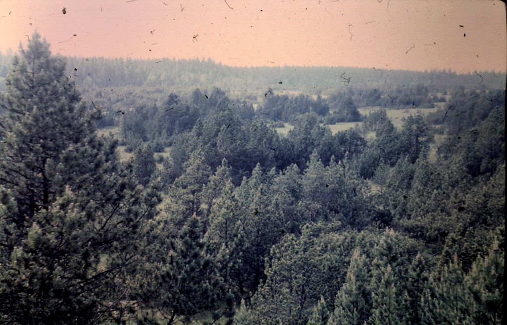 Plik:1973 Obóz Kotlina Kłodzka. Kudowa - Karłów - Strzeliniec. 2 GDH Watra 012 fot. Z.Żochowski.jpg