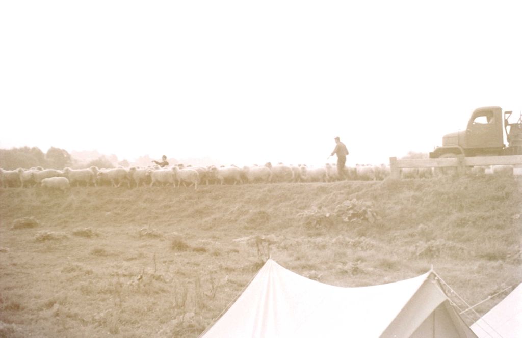 Plik:1966 Obóz wędrowny w Bieszczadach. 2 GDH Watra 110 fot. Z.Żochowski.jpg