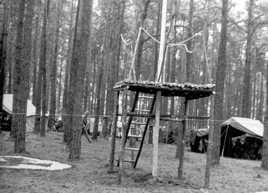Plik:1986-07 Miały. Puszcza Notecka. Obóz Rezerwat. Szarotka 143 fot. J.Kaszuba.jpg