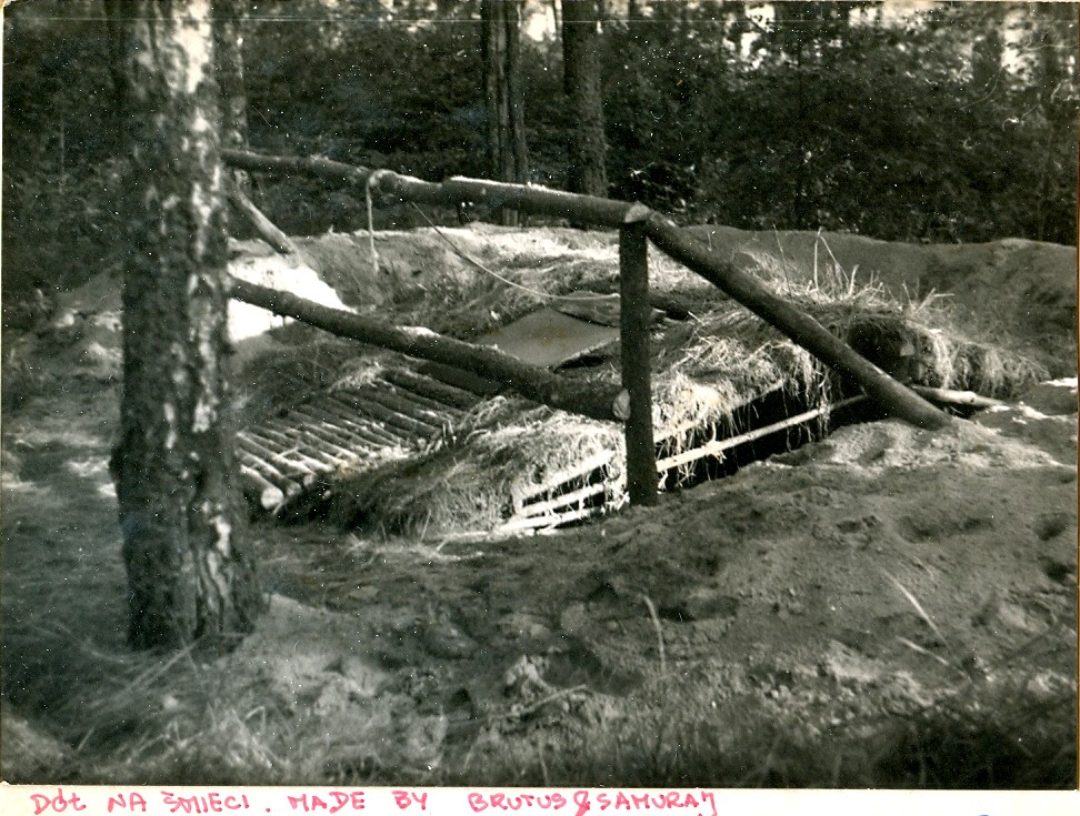 Plik:1987-07 Sąpy. jez.Jeziorak. Obóz Gniazdo. Szarotka 111 fot. J.Kaszuba.jpg