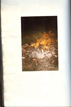 1996 Obóz wędrowny 95 GDH. Kaszuby. Szarotka091 fot. P i J. Ojowscy.jpg
