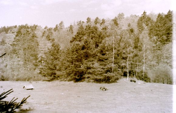 1956-60 Ćwiczenia harcerskie. 2 GDH Watra 003 fot. Z.Żochowski.jpg