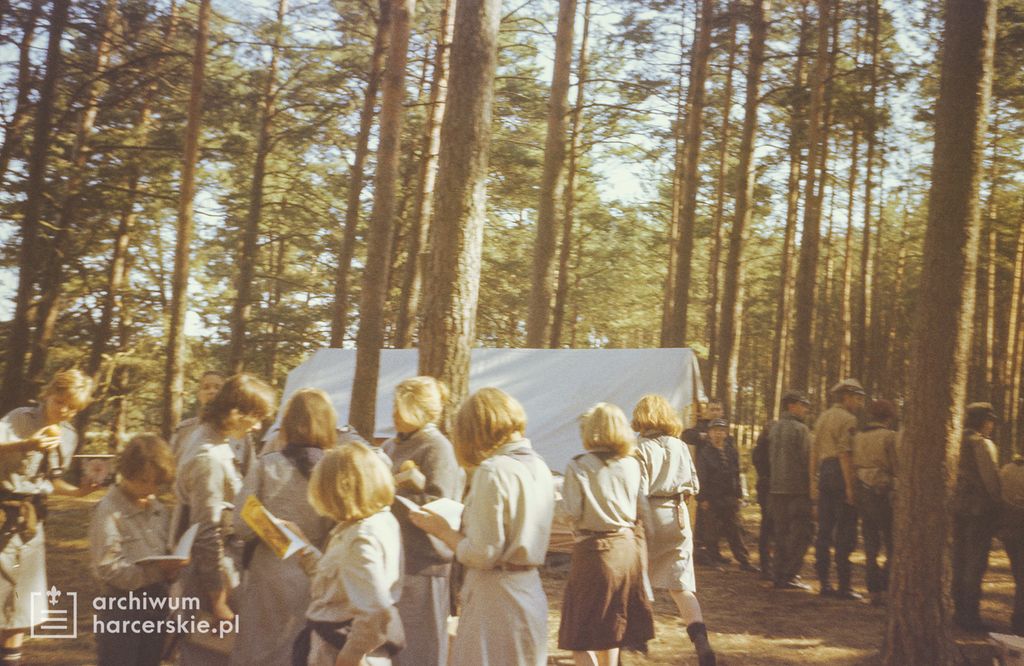 Plik:1991-07 Obóz Avalon. jez. Czyste. Poj.Kaszubskie. Szarotka 091 fot. J.Kaszuba.jpg