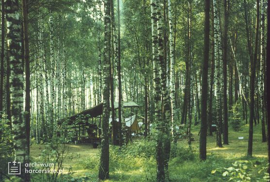1987-07 Sąpy. jez.Jeziorak.Obóz Gniazdo. Szarotka 021 fot. J.Kaszuba.jpg