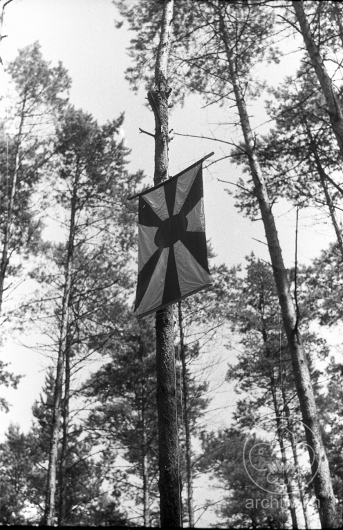 Plik:1989-07 Mokrzec obóz Hufiec ZHR 064.jpg