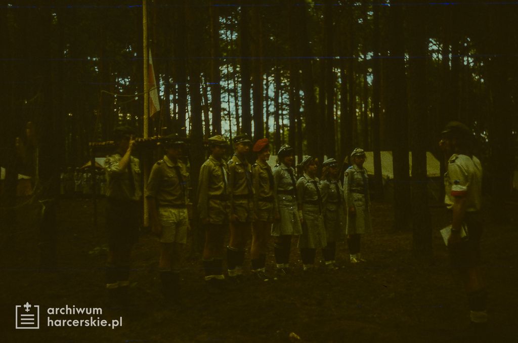 Plik:1986-07 Miały. Puszcza Notecka. Obóz Rezerwat. Szarotka 047 fot. J.Kaszuba.jpg