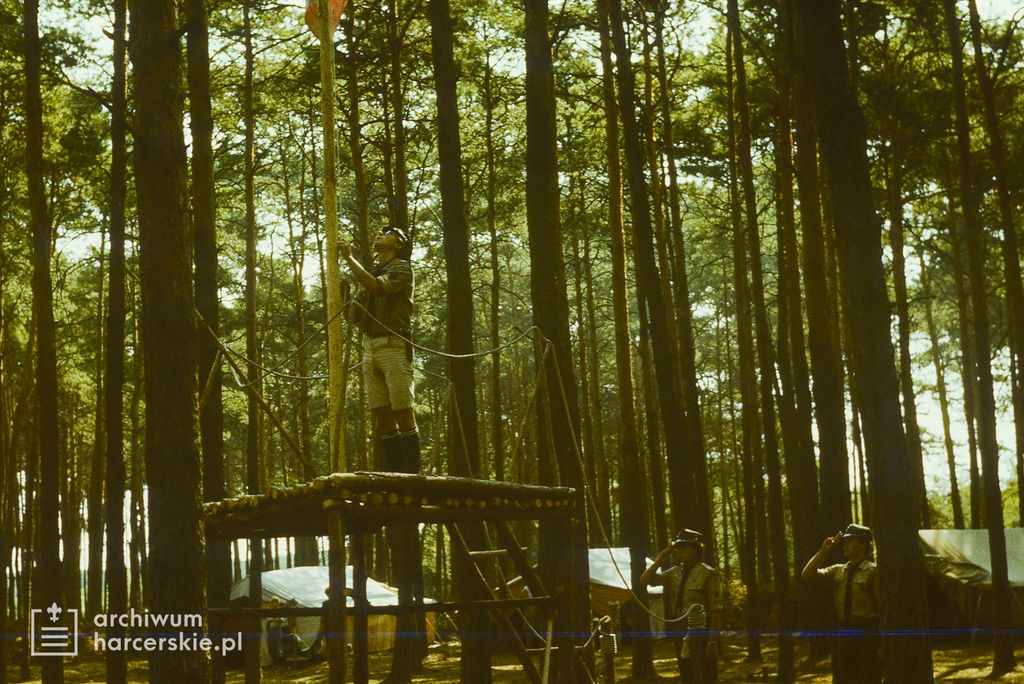 Plik:1986-07 Miały. Puszcza Notecka. Obóz Rezerwat. Szarotka 107 fot. J.Kaszuba.jpg
