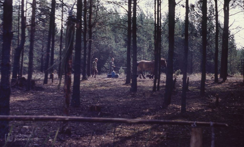 Plik:1982-08 Stara Kiszewa Obóz Puszcza Szarotka fot.S.Kaszuba 072.jpg