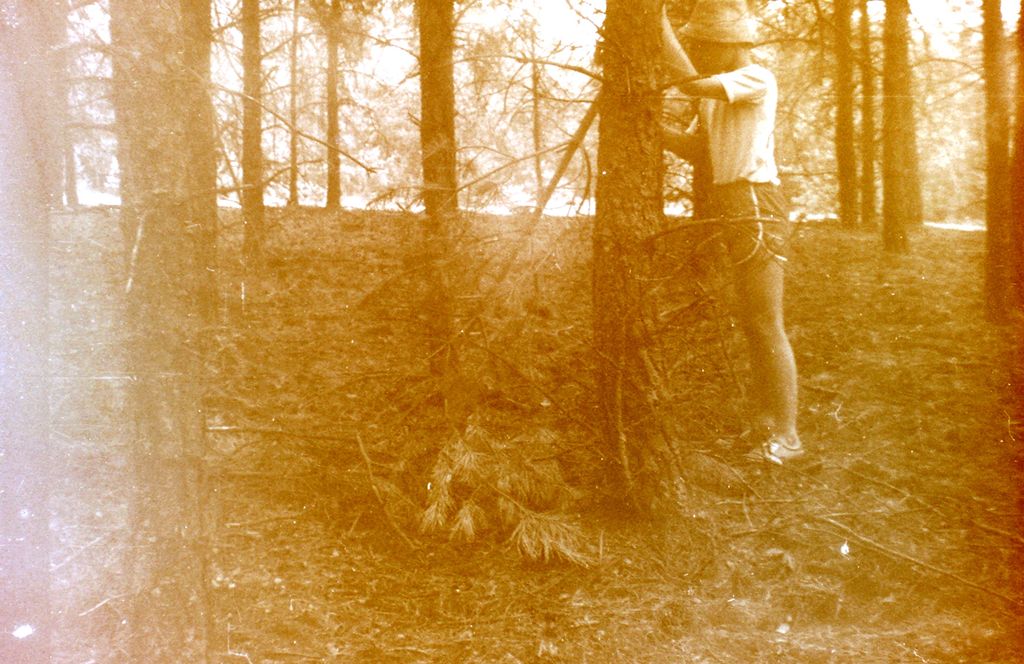 Plik:1982 Obóz Puszcza. Szarotka190 fot. J.Kaszuba.jpg