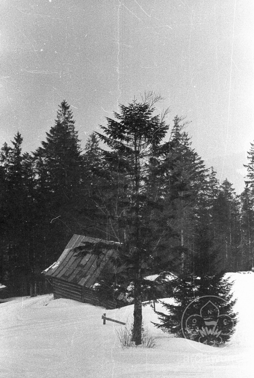 Plik:1986-02 Żywiec zimowisko Szczepu Puszcza 013.jpg