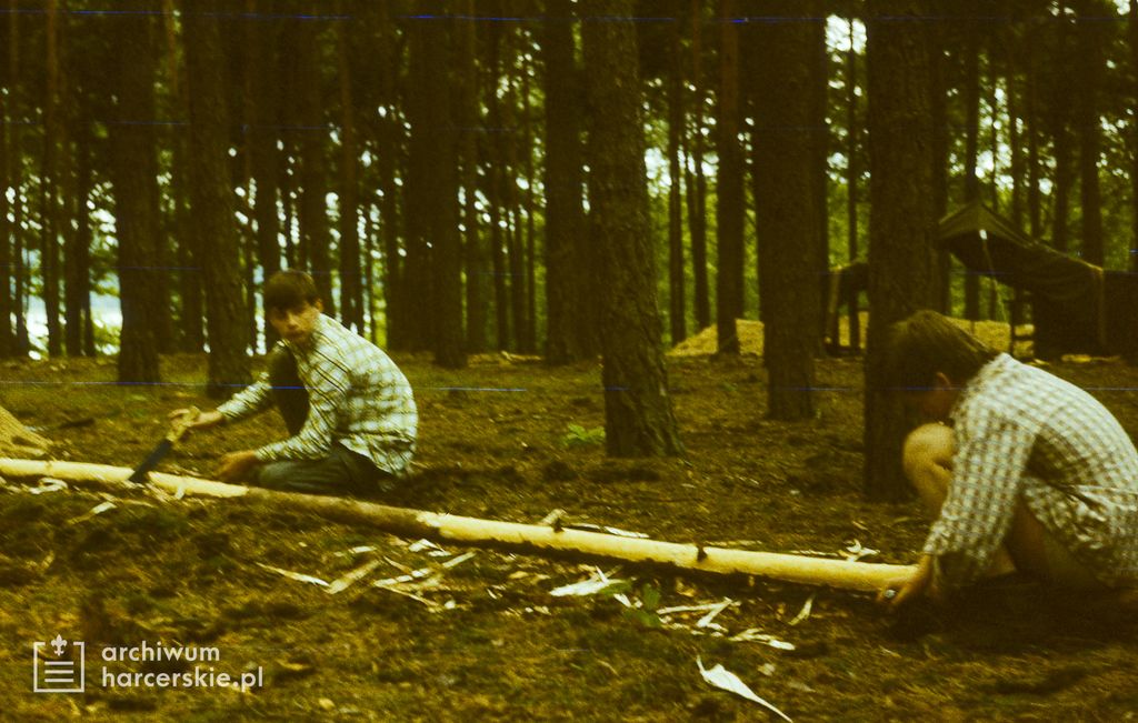 Plik:1986-07 Miały. Puszcza Notecka. Obóz Rezerwat. Szarotka 071 fot. J.Kaszuba.jpg