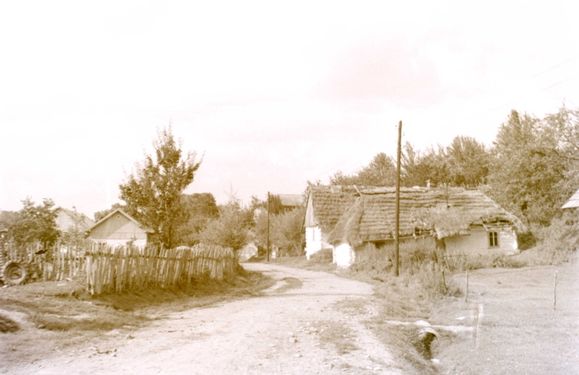 1966 Obóz wędrowny w Bieszczadach. 2 GDH Watra 116 fot. Z.Żochowski.jpg