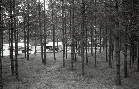 1990-07 Obóz Hufca Szarotka. Peplin. Szarotka 052 fot. J.Kaszuba.jpg