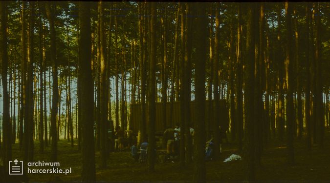 1986-07 Miały. Puszcza Notecka. Obóz Rezerwat. Szarotka 083 fot. J.Kaszuba.jpg