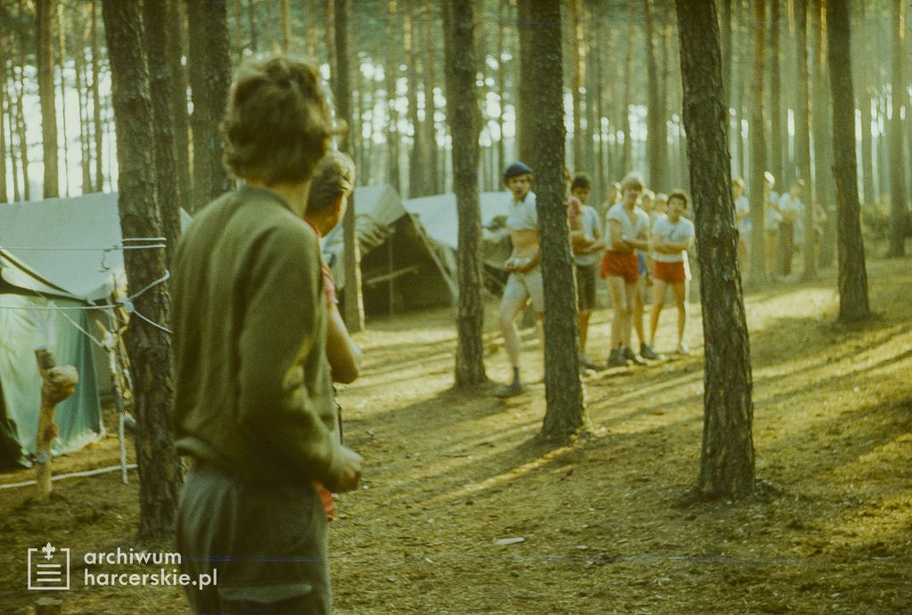 Plik:1986-07 Miały. Puszcza Notecka. Obóz Rezerwat. Szarotka 100 fot. J.Kaszuba.jpg