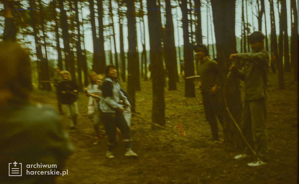 Plik:1986-07 Miały. Puszcza Notecka. Obóz Rezerwat. Szarotka 018 fot. J.Kaszuba.jpg