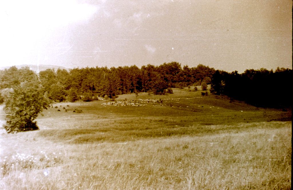 Plik:1958 Obóz wędrowny w Beskidzie Niskim. Watra 004 fot. Z.Żochowski.jpg