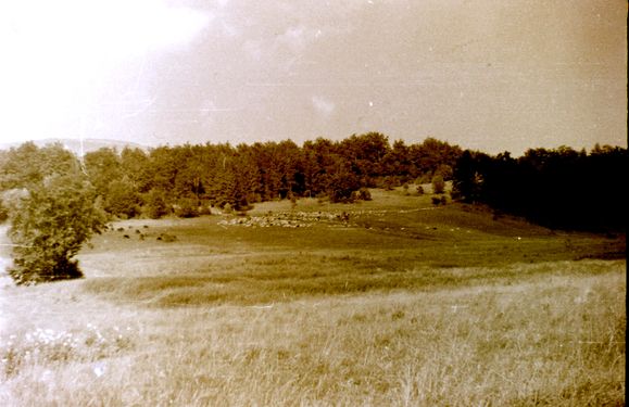 1958 Obóz wędrowny w Beskidzie Niskim. Watra 004 fot. Z.Żochowski.jpg