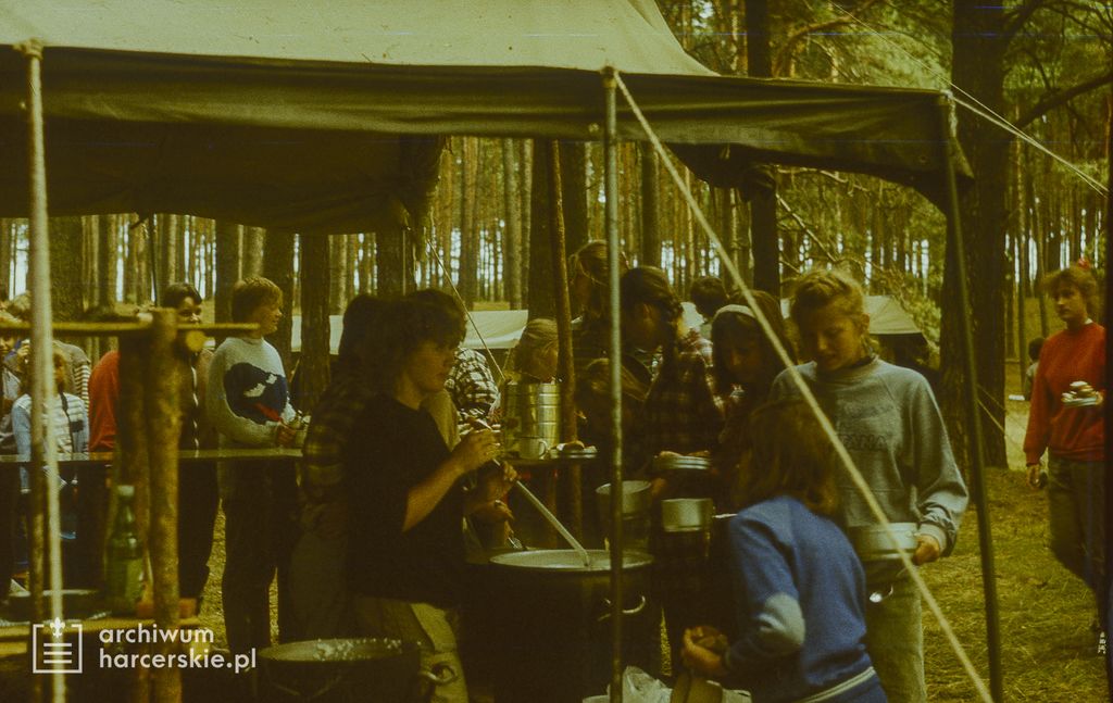 Plik:1986-07 Miały. Puszcza Notecka. Obóz Rezerwat. Szarotka 077 fot. J.Kaszuba.jpg