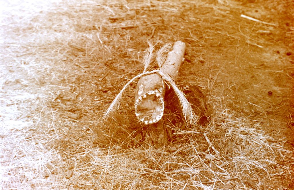 Plik:1982 Obóz Puszcza. Szarotka171 fot. J.Kaszuba.jpg
