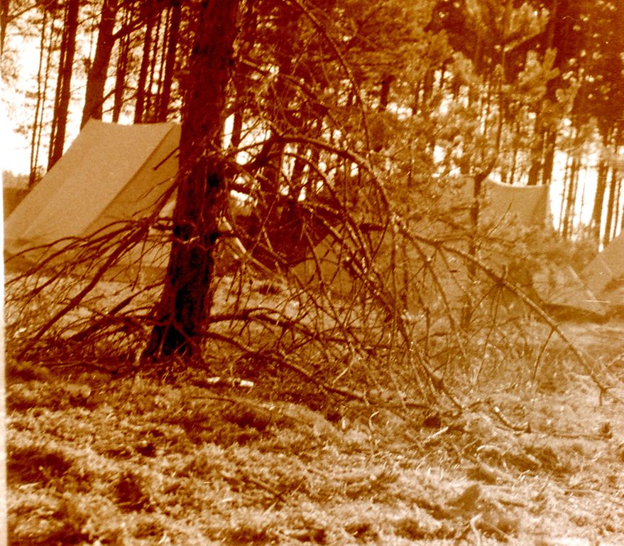 Plik:1982 Obóz Puszcza. Szarotka194 fot. J.Kaszuba.jpg