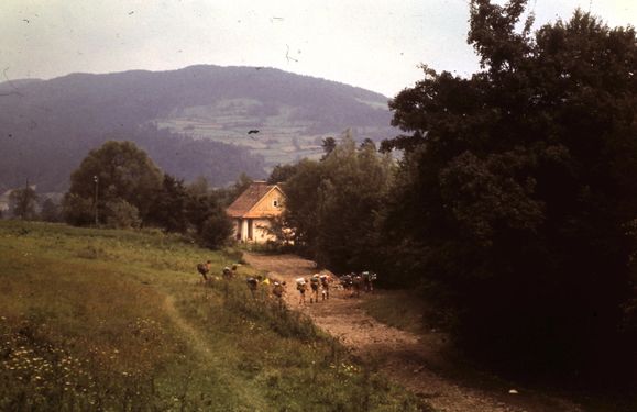 1974 Obóz wedrowny. Bieszczady . Watra 003 fot. Z.Żochowski.jpg