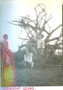1984 Szczawa. Zlot byłych partyzantów AK z udziałem harcerzy. Szarotka021 fot. J.Kaszuba.jpg