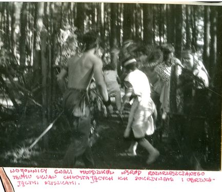 1986-07 Miały. Puszcza Notecka. Obóz Rezerwat. Szarotka 179 fot. J.Kaszuba.jpg