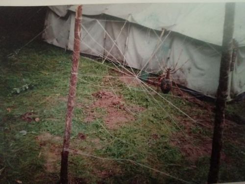 1997 Obóz 95 GDH. Podleś. Szarotka005 fot. P i J Ojowscy.jpg