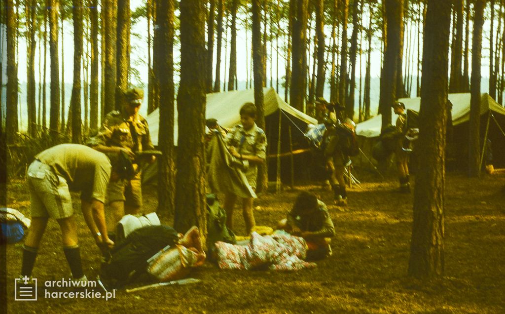 Plik:1986-07 Miały. Puszcza Notecka. Obóz Rezerwat. Szarotka 024 fot. J.Kaszuba.jpg