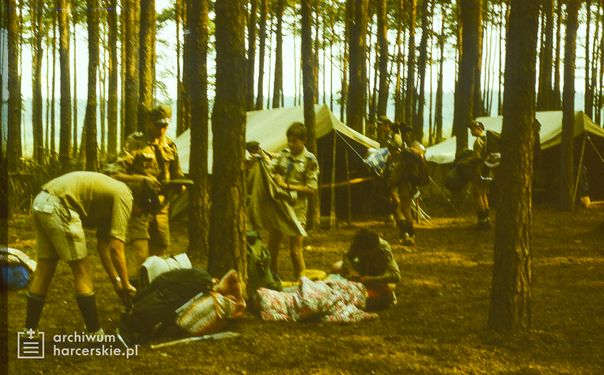 1986-07 Miały. Puszcza Notecka. Obóz Rezerwat. Szarotka 024 fot. J.Kaszuba.jpg