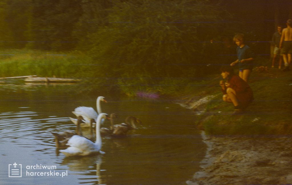 Plik:1985-07 08 Jez.Białe k. Machar Szarotka obóz stały Buchtowisko fot.J.Kaszuba 022.jpg