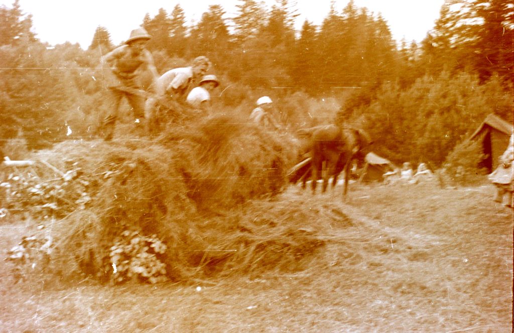 Plik:1957-58 Obóz stały w Bieszczadach. Watra 139 fot. Z.Żochowski.jpg