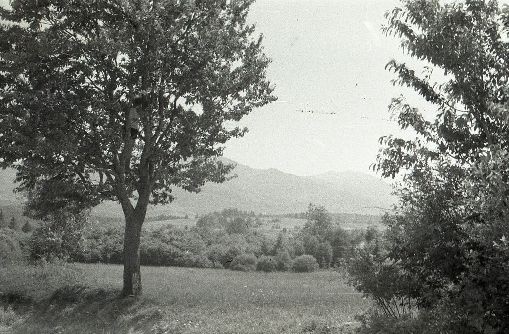Plik:1956-60 Obóz wędrowny. Bieszczady. 2 GDH Watra 066 fot. Z.Żochowski.jpg