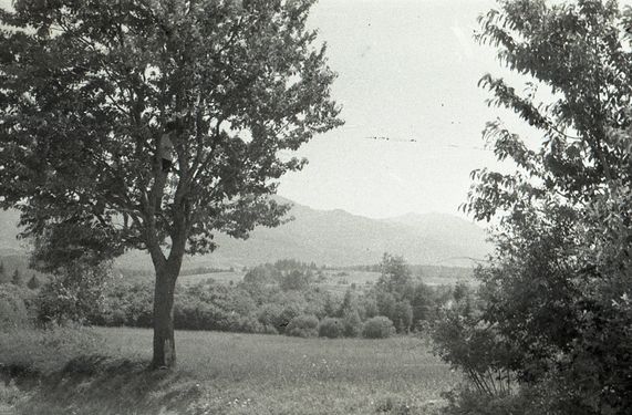 1956-60 Obóz wędrowny. Bieszczady. 2 GDH Watra 066 fot. Z.Żochowski.jpg