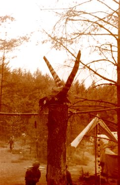 1982 Obóz Puszcza. Szarotka201 fot. J.Kaszuba.jpg