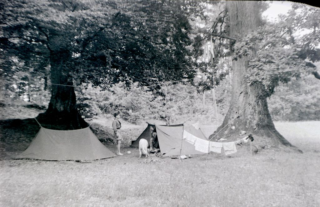 Plik:1947-48 Biwak w Oliwie. Watra 002 fot. Z.Żochowski.jpg
