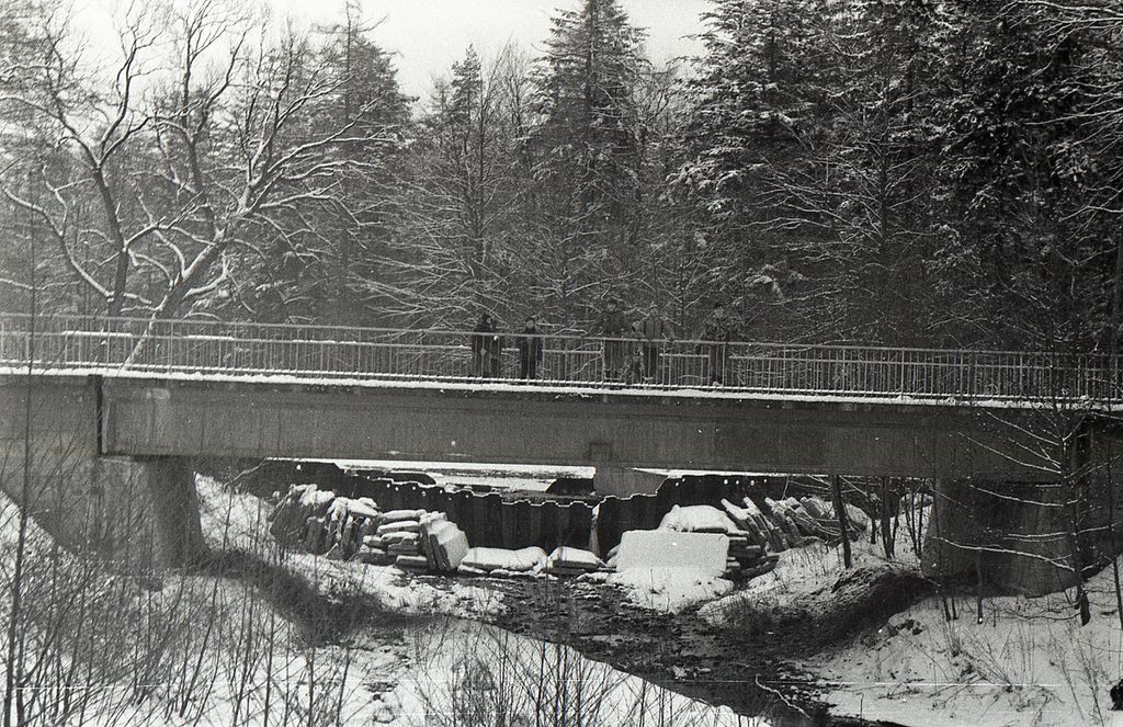 Plik:1985 Zimowisko Bielsko-Biała. Szarotka011 fot. J.Kaszuba.jpg