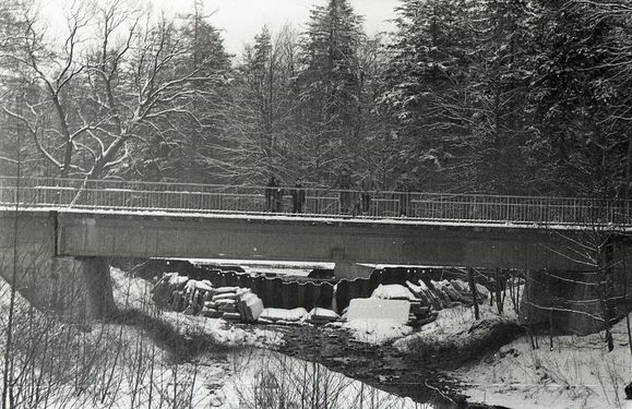 1985 Zimowisko Bielsko-Biała. Szarotka011 fot. J.Kaszuba.jpg