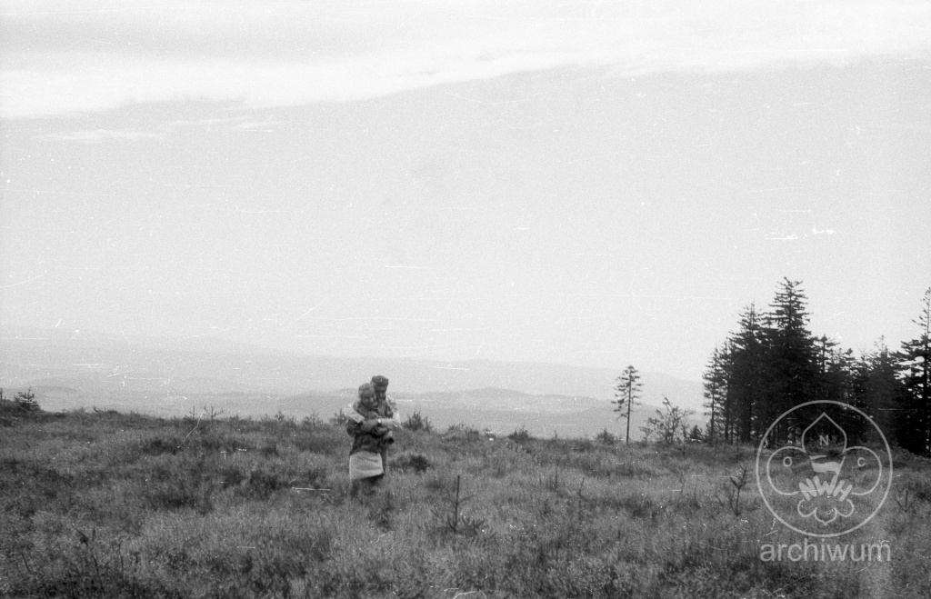 Plik:1985-08 Góry Sowie obóz 141ODHy 066.jpg