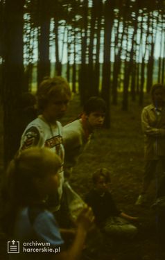 1986-07 Miały. Puszcza Notecka. Obóz Rezerwat. Szarotka 021 fot. J.Kaszuba.jpg