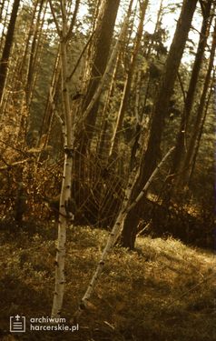 1989-07 Obóz Mara. Jez. Gant. Mazury. Szarotka047 fot. J.Kaszuba.jpg