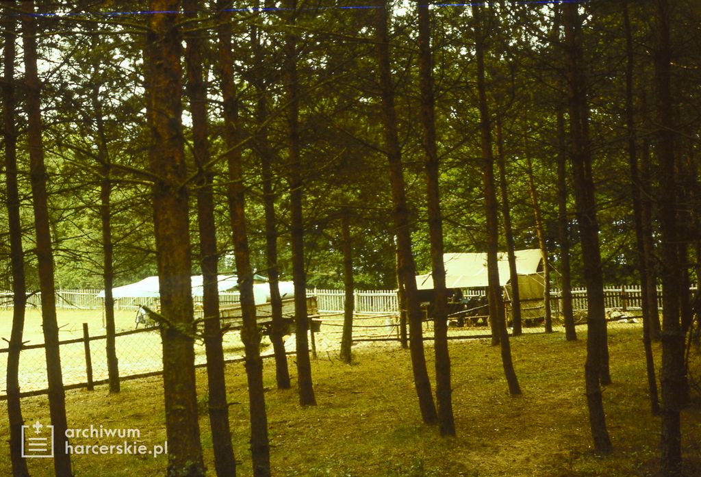 Plik:1990-07 Obóz Hufca Szarotka. Peplin 003 fot. J.Kaszuba.jpg