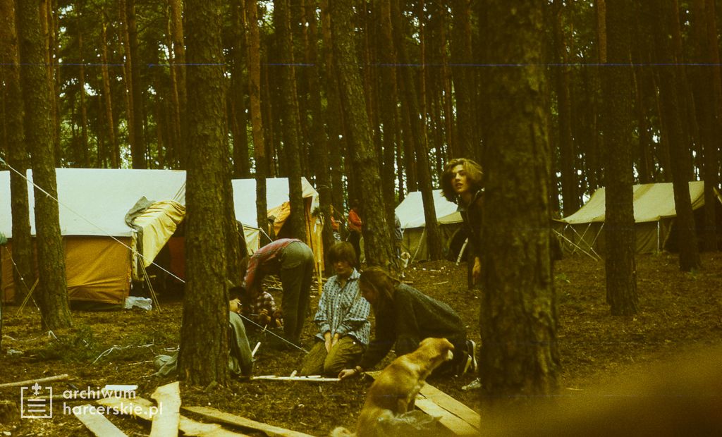 Plik:1986-07 Miały. Puszcza Notecka. Obóz Rezerwat. Szarotka 059 fot. J.Kaszuba.jpg